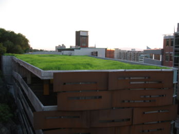 Le toit vert est un concept de toiture utilisant de la terre et des végétaux en remplacement de l'ardoise, la tuile... Le principe existe depuis plusieurs centaines d'années et il offres de nombreux avantages tant environnementaux, sociaux, qu'économiques.