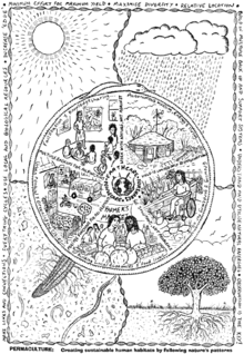 Le Mandala de la permaculture résume les principes de la permaculture