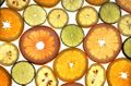 Citrus fruits.jpg
