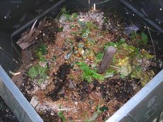 Le mois de juin est idéale pour démarrer votre compost. Si vous n'avez pas la place vous pouvez vous tournez vers d'autres méthodes comme le lombricompost ou le bokashi