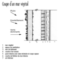 Coupe d'un mur végétal