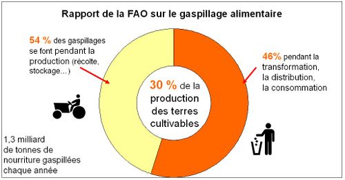 Gaspillage alimentaire FAO 2013 h.jpg