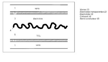 schéma de coupe de la cellule.