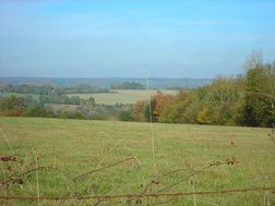 La haie est une plantation de divers arbres et arbustes destinée à marquer la séparation entre deux parcelles. L'emploi de haies était fréquent dans le passé et structurait de véritables paysages de bocage riches en bio-diversité. De nos jours, les haies disparaissent pour faciliter l'agriculture intensive.